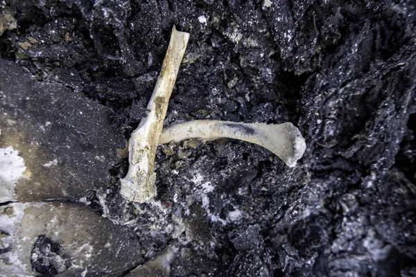 旧火葬場の詳細人間の骨 — ストック写真