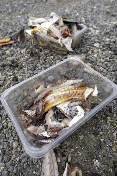 Szczegóły Ryby Zmarnowane Wyrzucone Śmieci Zepsute Jedzenie — Zdjęcie stockowe