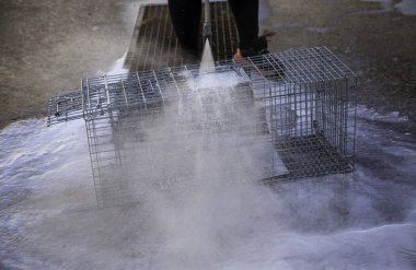 Basınç hortumu, mantar ilacı ve temizlik ile yıkama kafesi