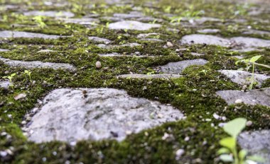 Yaya geçidindeki eski kaldırım taşlarının döşeme detayları.