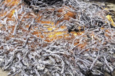 Ateşle, ateşle ve yıkımla yanan odunların ayrıntıları.