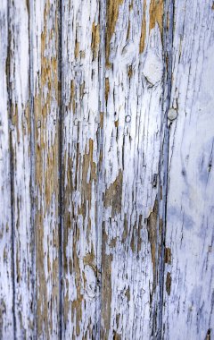 Mavi boyanmış ahşap duvar, dekorasyon.