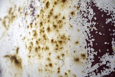 Hasarlı ve paslı metal duvarlar, terk edilme ve harabe.