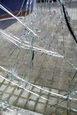 Çöpe atılan kırık cam parçaları, suç.