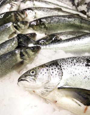 Balıkçıda taze somon, vitamin yiyeceği.