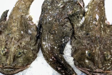 Balıkçıdaki çiğ maymunbalığı, taze yiyecek satışı.