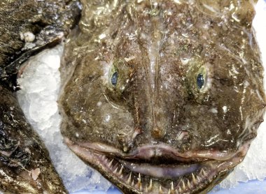 Balıkçıdaki çiğ maymunbalığı, taze yiyecek satışı.