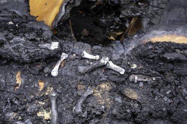 İnsan kemikleri ve mezarlık kalıntılarıyla dolu eski krematoryumun ayrıntıları.