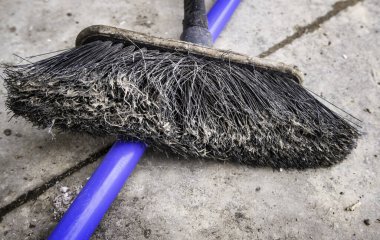 Balıkçılarda çiğ mürekkep balığı, satış ve gıda ticareti.
