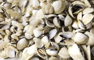 Restoranlarda çiğ midye, deniz ürünleri ve balık, yiyecek.