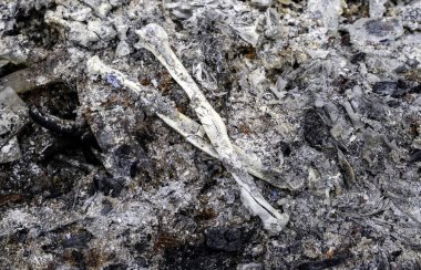 İnsan kemikleri ve mezarlık kalıntılarıyla dolu eski krematoryumun ayrıntıları.