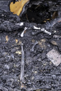 İnsan kemikleri ve mezarlık kalıntılarıyla dolu eski krematoryumun ayrıntıları.