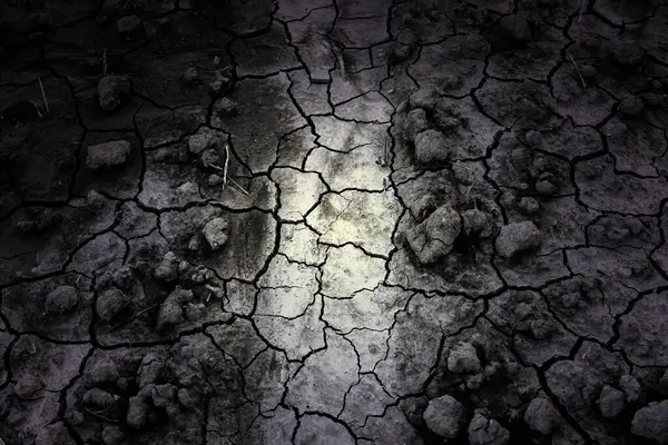 İklim değişikliği ve çevresel yıkımın ayrıntıları