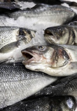 Balıkçıda çiğ hake, taze yiyecek satışı, balık.