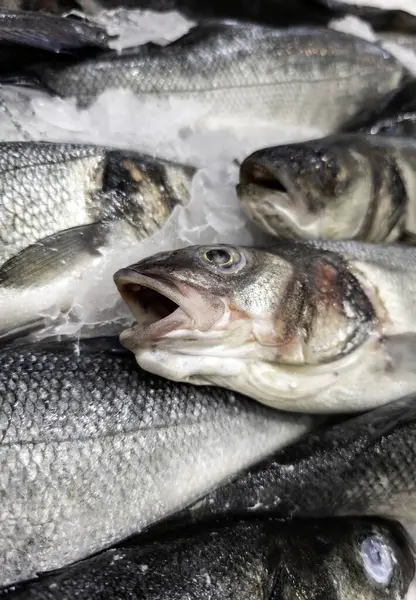Balıkçıda çiğ hake, taze yiyecek satışı, balık.