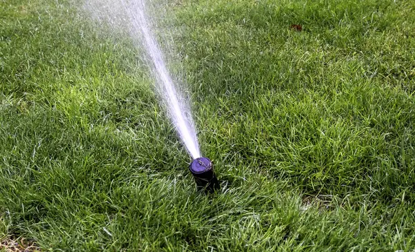 Ekinleri sulamak için su fışkırtan fıskiyelerin ayrıntıları