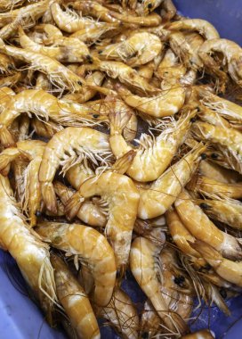 Pazardaki karidesler, balık pazarı, kabuklular ve deniz ürünleri.