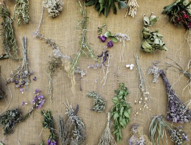 Geleneksel tıbbi tedaviler için kurutulmuş bitkilerin ayrıntıları
