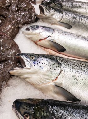 Taze balık, sağlıklı yemek, diyet.