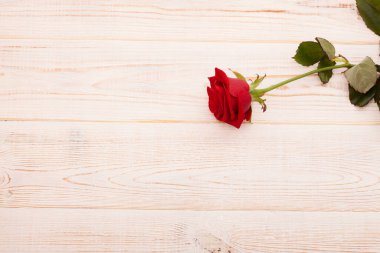 Mavi ahşap arka planda renkli güllerin çerçevesi. Üst görünüm ve seçici odak