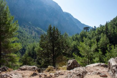 Yazın vadi boyunca yol boyunca dağların manzarası. Yunanistan Dağları 'ndaki bir vadi olan Gorge' un manzarası, dünyanın en derin vadilerinden biri olan dağların yamaçlarında uzanıyor..
