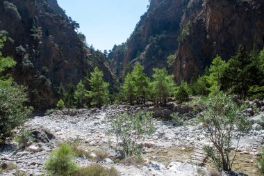 Yazın vadi boyunca yol boyunca dağların manzarası. Yunanistan Dağları 'ndaki bir vadi olan Gorge' un manzarası, dünyanın en derin vadilerinden biri olan dağların yamaçlarında uzanıyor..
