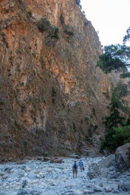 Orman ve dağ manzarası, uzaktaki gezginlerin ve dağların izleri. Tahta köprüler ve dereler