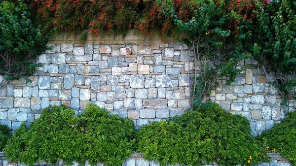 Blätter Und Ziegelzaunmauer Kopieren Weltraum Attrappe — Stockfoto