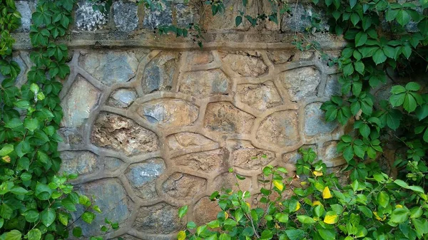 Liście Cegła Ogrodzenia Ściana Kopia Przestrzeń Makieta — Zdjęcie stockowe