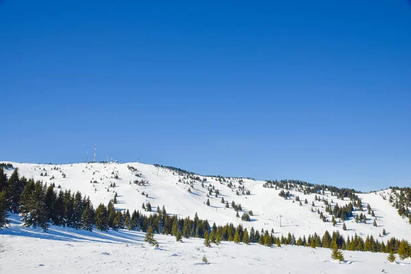 日照在Kopaonik干净的滑雪场上 — 图库照片