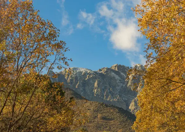 Sierra de Gredos, Gredos 'un güney kesiminde sonbaharda ormandan görüldü.