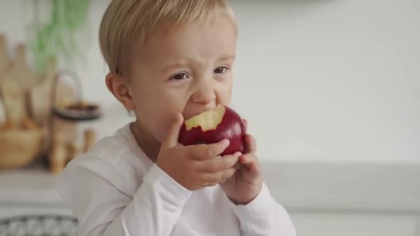 小男孩高兴地吃着苹果 孩子们健康的饮食 快乐的童年 减少食肆人士享用植物基食物 — 图库视频影像