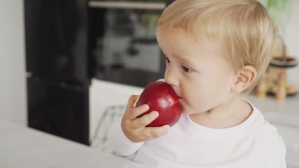 快乐的学龄前男孩吃着一个富含维生素的新鲜有机苹果 — 图库视频影像