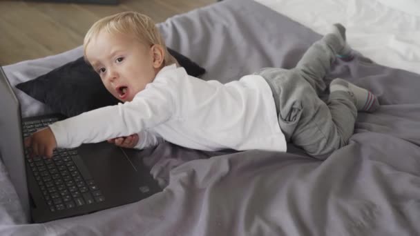 小さな男の子は ラップトップで遊んで使用するのは初めてです 少年はすべてをクリックします — ストック動画