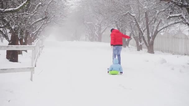 Zimowy Spacer Parku Dzieckiem Tata Spacerując Dzieckiem Parku Zimie Sanki — Wideo stockowe