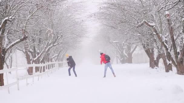 Dwóch Facetów Gra Kulki Śnieżne Razem Cieszyć Się Życiem Zimie — Wideo stockowe