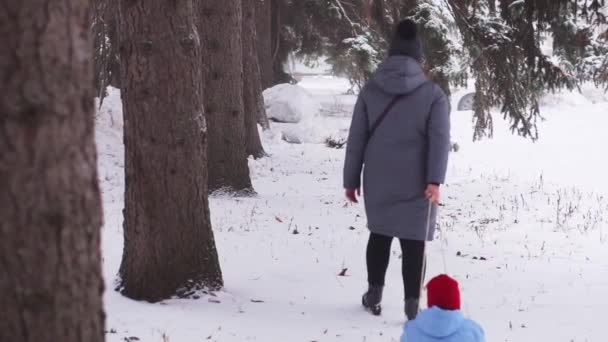 Szczęśliwa Młoda Kobieta Spacerująca Swoim Małym Dzieckiem Zimowych Lasach Jej — Wideo stockowe