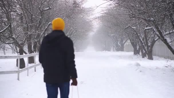 Berjalan Jalan Musim Dingin Taman Dengan Seorang Anak Ayah Berjalan — Stok Video