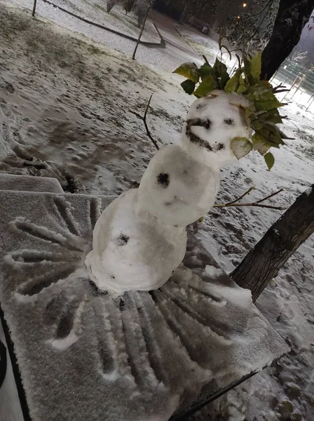 Ένας Χιονάνθρωπος Στο Πάρκο Ευχαριστεί Τους Περαστικούς Χαμόγελο — Φωτογραφία Αρχείου