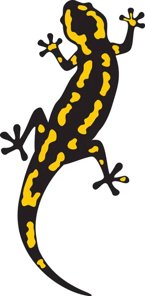 Fire Salamander Animal Color Vektorová Ilustrace — Stockový vektor
