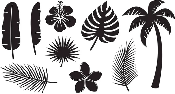 Tropiska Växter Ikoner Collection Hibiscus Bananblad Palm Tree Monstera Frangipani — Stock vektor