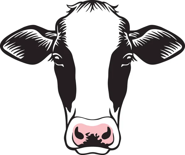 Ilustração Vetor Cor Cabeça Vaca —  Vetores de Stock