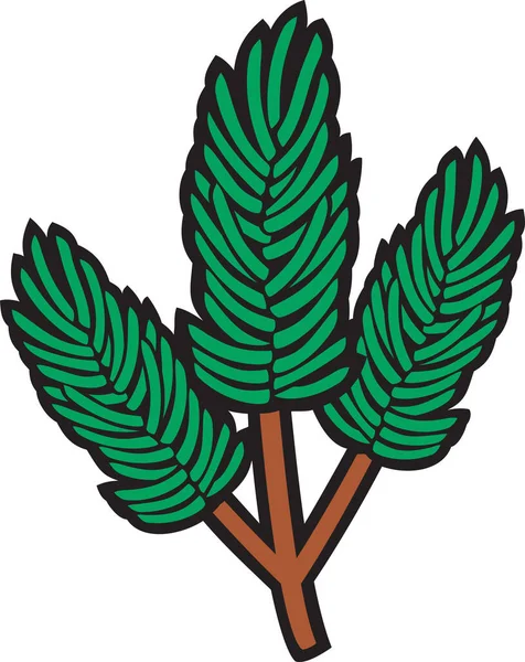 Pine Branch Color Vector Illustratie — Stockvector