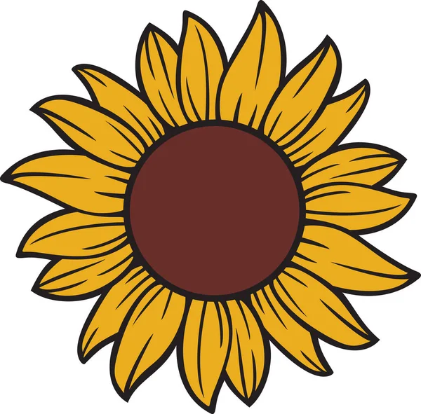 Słonecznik Kolor Kwiatu Projekt Ilustracji Wektorowej — Wektor stockowy