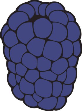 Blackberry Fruit Color. Vector Illustration