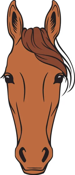 Cor Cabeça Cavalo Ilustração Vetorial —  Vetores de Stock
