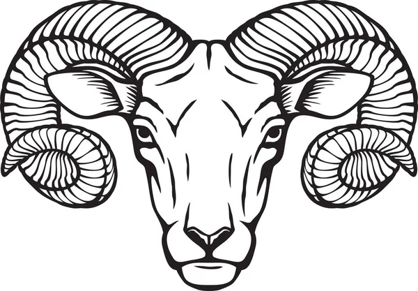 Ram Head Bianco Nero Illustrazione Vettoriale — Vettoriale Stock