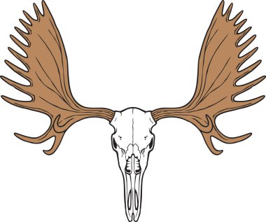 Geyik Kafatası Rengi. Vektör İllüstrasyonu.