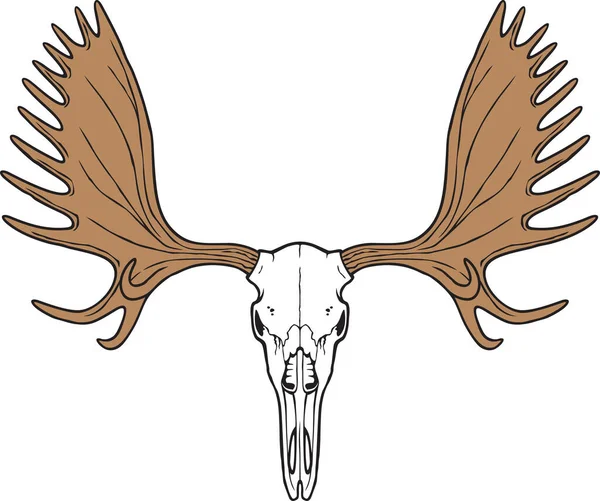 Moose Skull Color Vector Illustratie — Stockvector