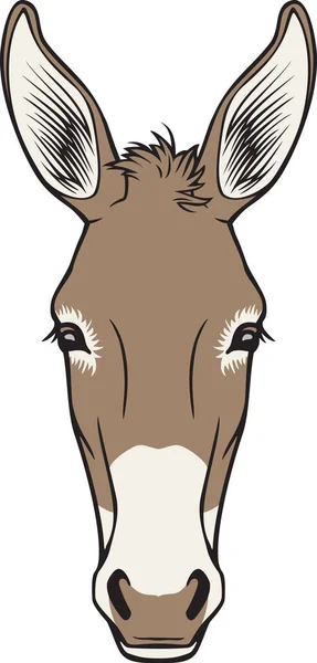 Donkey Head Color Vorhanden Vektorillustration lizenzfreie Stockvektoren